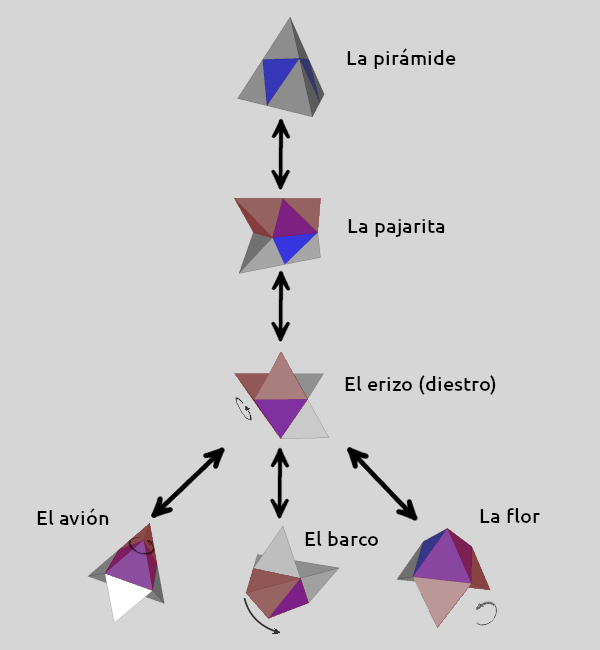 Diagrama que muestra la relación
entre las formas que puede adoptar el Pyraminx